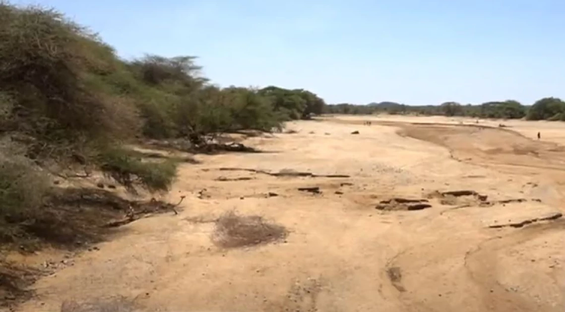 Voices from drought: Inside the harsh reality of northern Kenya