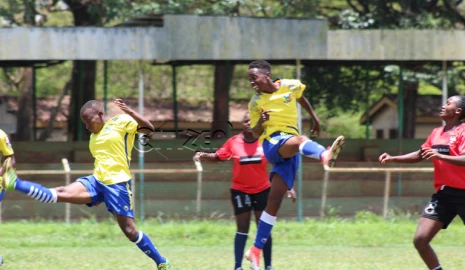 FKF challenged to spruce up KWPL