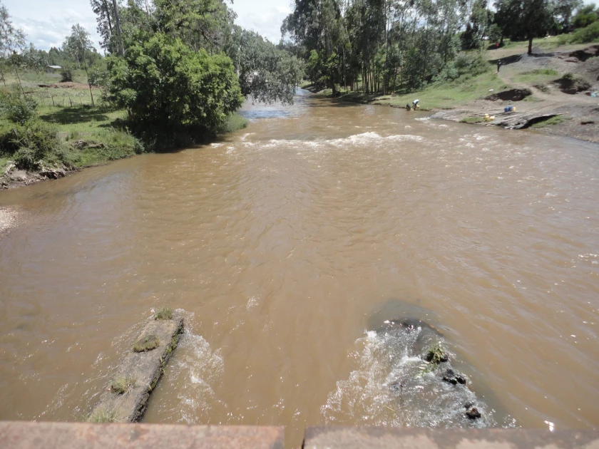 Bomet: Body of missing female university student found floating in river