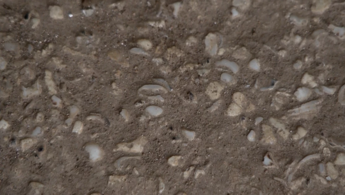 Kwale building with dark history where walls have human teeth