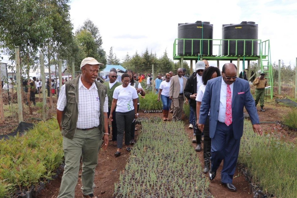  10 million trees to be planted in Kieni Climate Initiative project