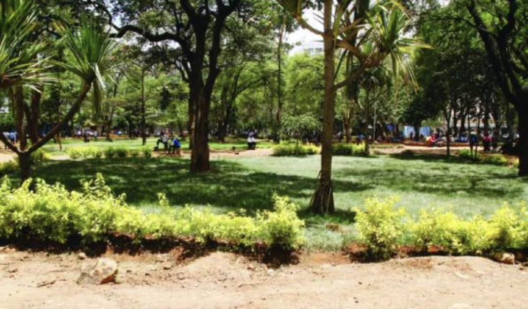 Nairobi rains breathe life into the ‘dying’ Jeevanjee gardens