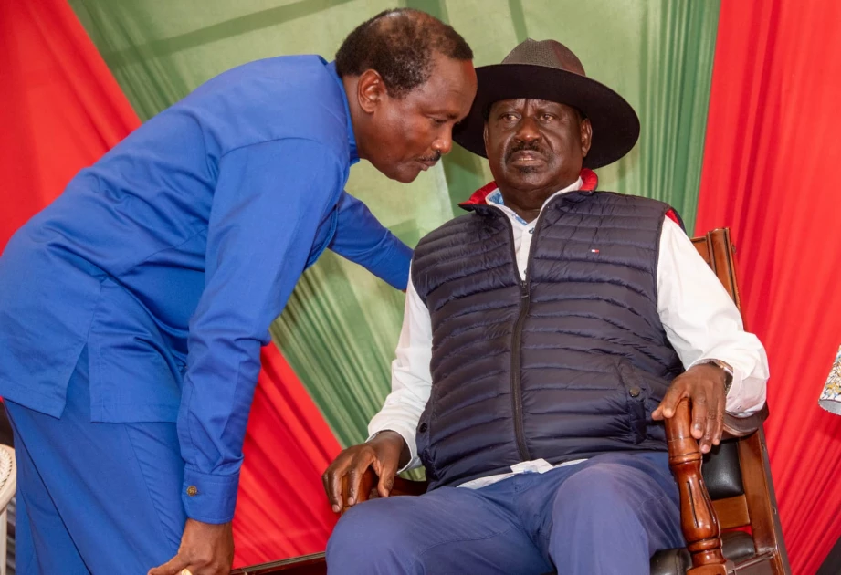 Raila, Kalonzo's security withdrawn