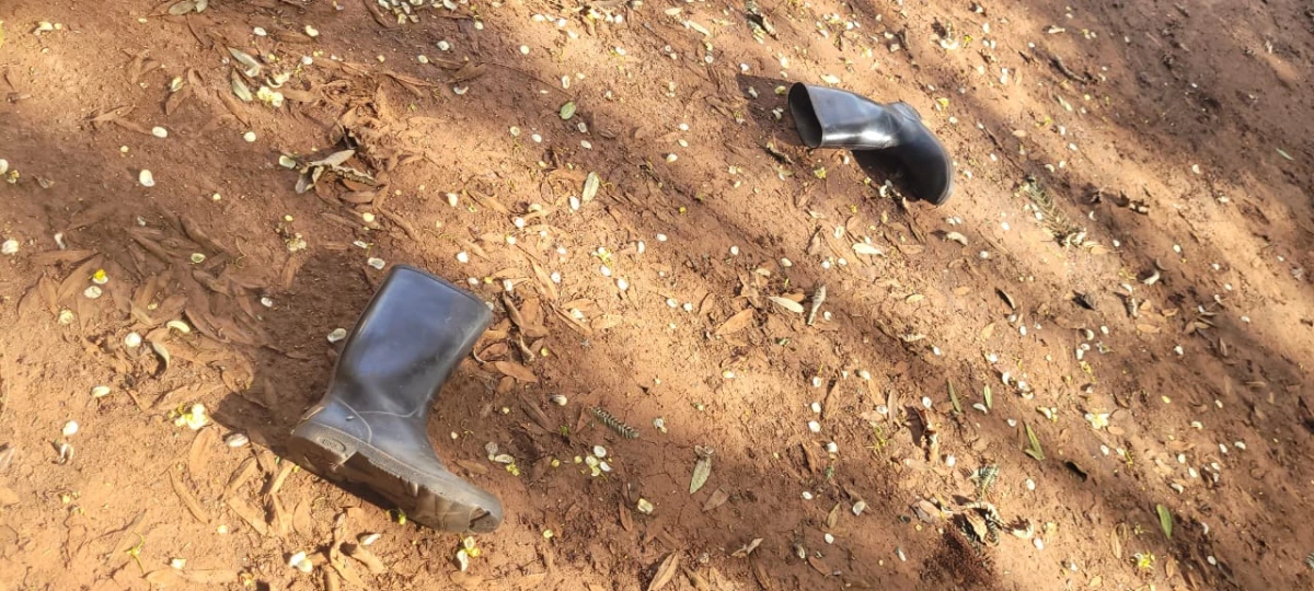 Machakos: School night guard killed by robbers, transformer vandalised 