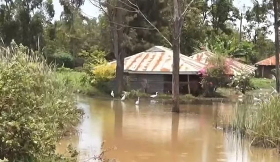 Gov’t to rehabilitate Lake Kanyaboli dyke after flooding in Siaya, Busia