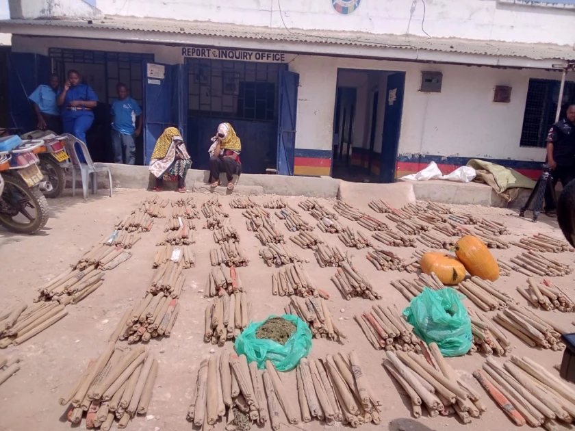 Two women arrested with bhang worth Ksh.1 million in Mombasa
