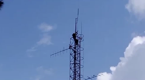 Drama as man climbs communication mast  in protest over high living costs