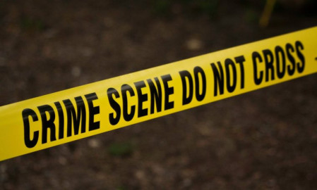 Decomposing body of retired teacher found in a thicket 