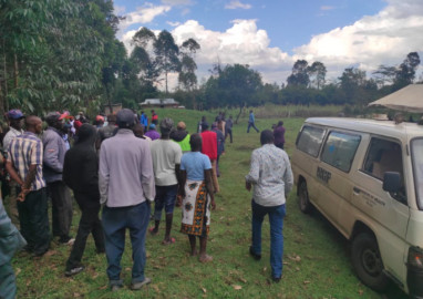Burial disrupted, body returned to mortuary after bees attack mourners