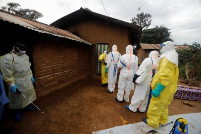 How the deadly Ebola virus attacks the body