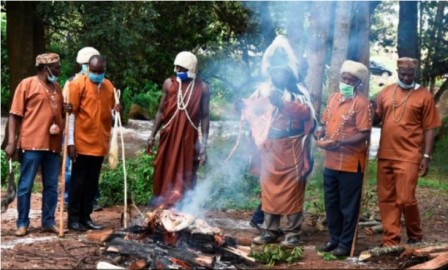 Kirinyaga elders in cleansing ritual to allow uprooting of Mugumo tree blocking road construction